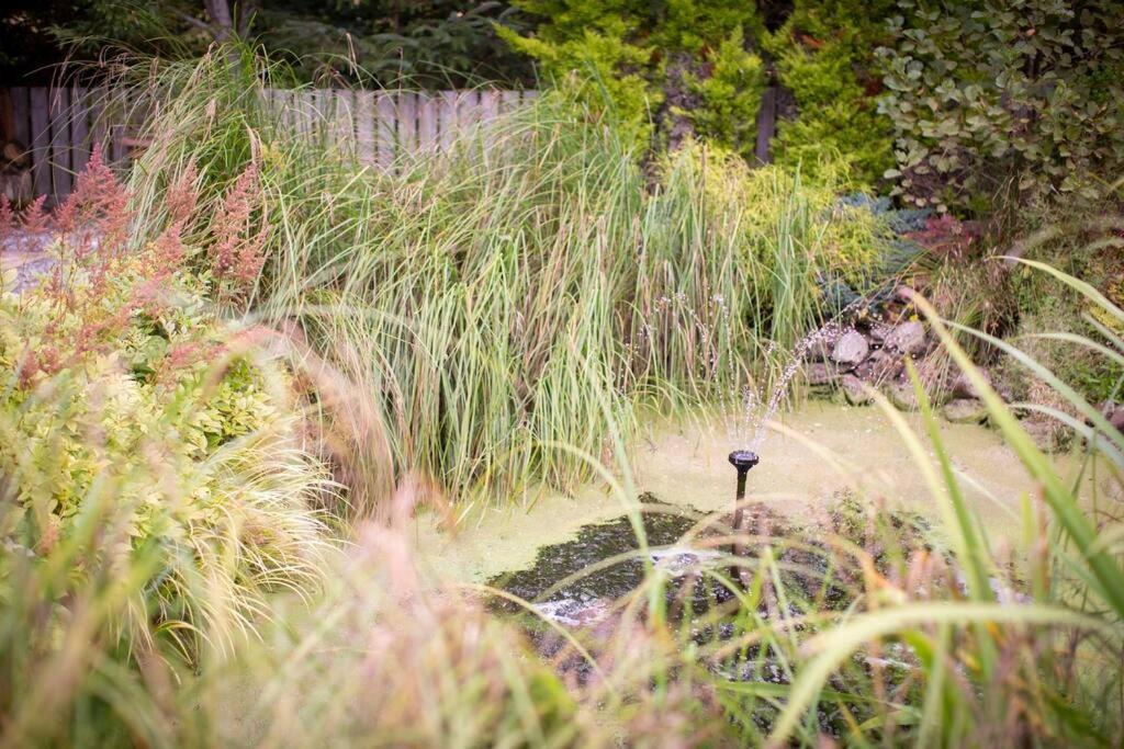 Villa Calm Scottish Country Escape With Hot Tub Sleeps 6 Inverness Esterno foto